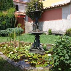 Senlleiro, Sabarís