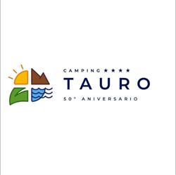 Camp Tauro, Benicàssim