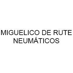 Miguelico De Rute Neumáticos