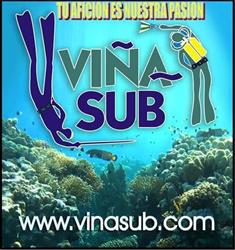 Viña Sub, Gijón
