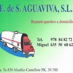 Estacion de Servicio Aguaviva, S.l.