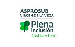 ASPROSUB "Virgen de la Vega", Benavente