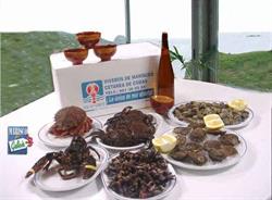 Viveros de Mariscos Cetarea Depuradora de Cobas, Prior