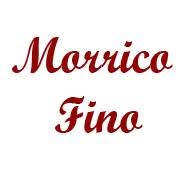 Morrico Fino, Sos del Rey Católico