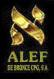 Alef de Bronce, Madrid