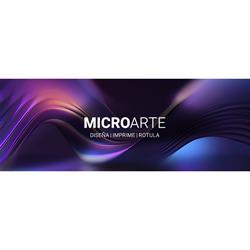 Microarte, Zaragoza