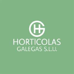 Horticolas Galegas, S. L., Xinzo de Limia