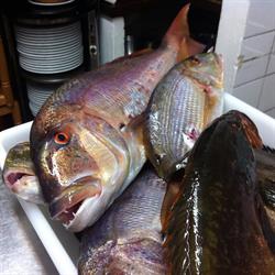 Restaurante SA Jambina, Calella de Palafrugell