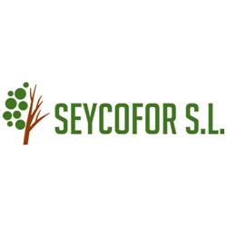 Seycofor, S.l., Oviedo