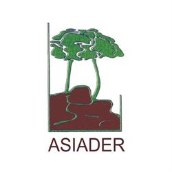 Asiader, Tramacastilla