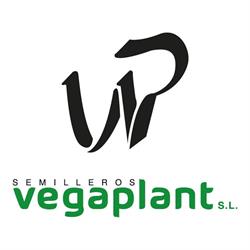 Semilleros Vegaplant, Dolores