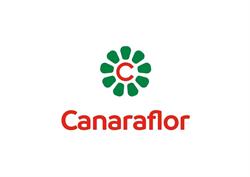 Canaraflor, S. C. L., Cehegín