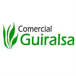 Comercial Guiralsa, Huesca