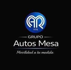 Auto Repuestos Mesa, La Guancha