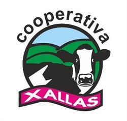 Sociedad Cooperativa Xallas de Santa Comba, Santa Catalina