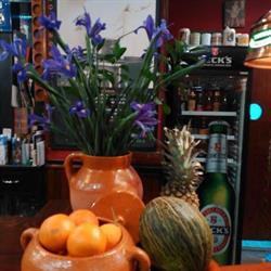 Taberna La Pinta de Oro, Zamora