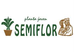 Semiflor, Elche