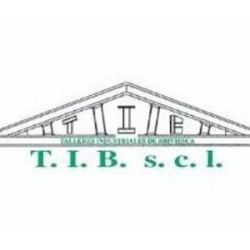 Talleres Industriales Briviesca