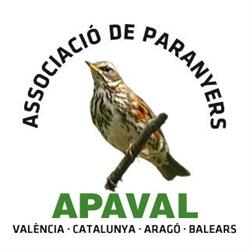 Club de Cazadores Apaval, Vila-Real