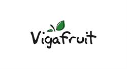 Fruites Germans Vigafruit, Girona