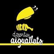 Deportes Aigualluts, Benasque