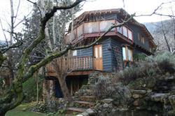 La Casa Verde, Viguera