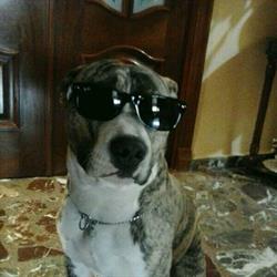 Gutec, S.l., El Esparragal