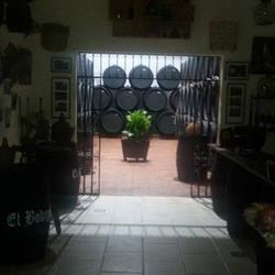 Bodegas Blanco S.l., Estepa