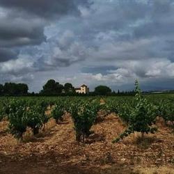 Masia La Nova Alcudia, Fontanars Dels Alforins