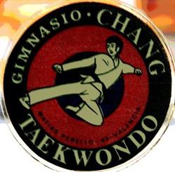Gimnasio Chang Taekwondo, Valencia