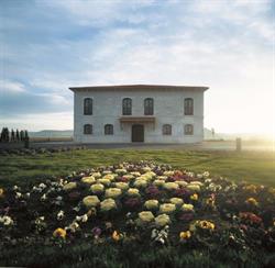 Bodegas Pingon SA, Peñafiel