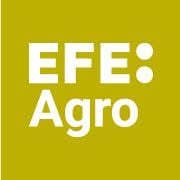 Efeagro, S.a., Madrid