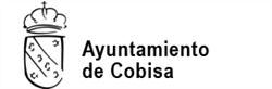 Ayuntamiento de Cobisa