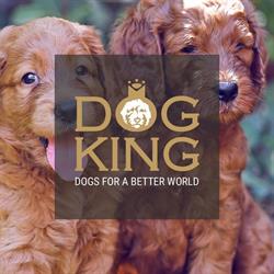 Dogking, Sant Cugat del Vallès