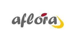 Aflora Consulting, Madrid