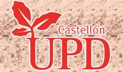 UPD (Unidad de promoción y desarrollo), Castellón de la Plana