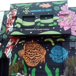 Aquarium Del Ges Scp, Vic