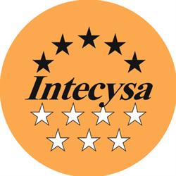 Intecysa Academia, Madrid