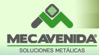 Mecavenida, Algemesí
