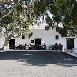 Bodegas Rubicón, La Geria