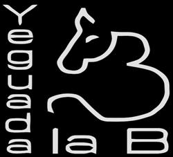 Yeguada la b, Polinyà