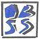 Optical & Banking Software Solutions S.l., Madrid