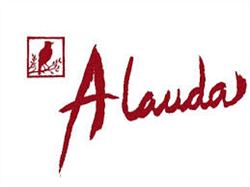 Alauda Teatro, Salazar