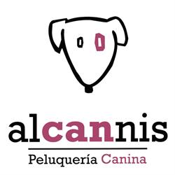 Alcannis, Alcañiz
