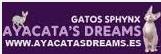 Ayacata's Dreams, Tejeda