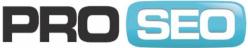 Pro Seo Posicionamiento Web, Donostia-San Sebastián