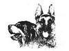 Residencia canina El Rocater, Girona