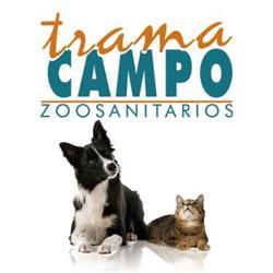 Trama Campo, Talavera la Real