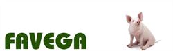 Favega, Zaragoza