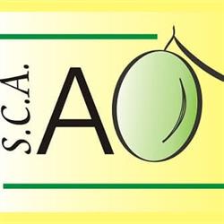 S.C.A. ASUNCIÓN ORCERA, Orcera